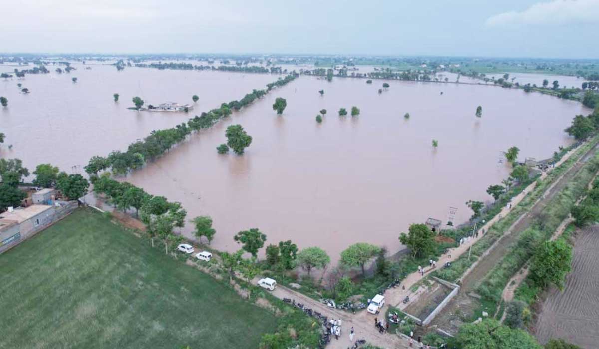 Fatehabad Flood Update