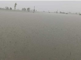 ਮੌਸਮ ਵਿਭਾਗ ਵੱਲੋਂ ਭਾਰੀ ਮੀਂਹ ਦੀ ਚੇਤਾਵਨੀ, ਹਾਲਾਤ ਹੋਰ ਵੀ ਹੋ ਸਕਦੇ ਨੇ ਬਦਤਰ Heavy Rain