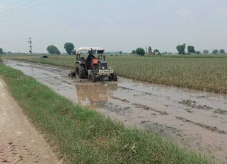 River Satluj