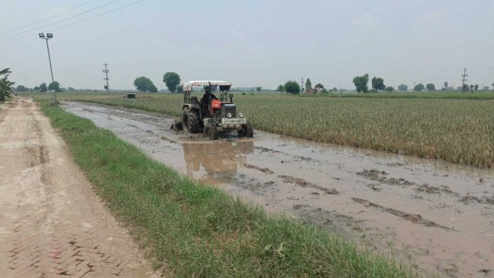 River Satluj