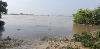 Satluj River Flood