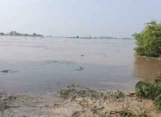 Satluj River Flood