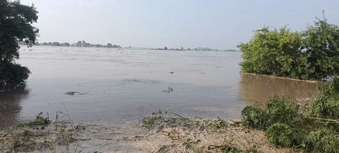 Satluj River Flood