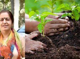 ਵਾਤਾਵਰਨ : ਜ਼ਿਲ੍ਹੇ ’ਚ ਲਗਾਏ ਜਾਣਗੇ ਲਗਭਗ 12.50 ਲੱਖ ਪੌਦੇ Tree Planting