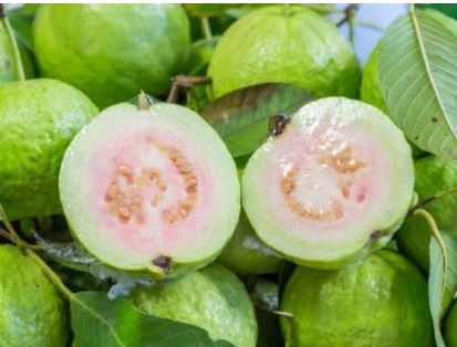 Health Benefits of Eating Guava