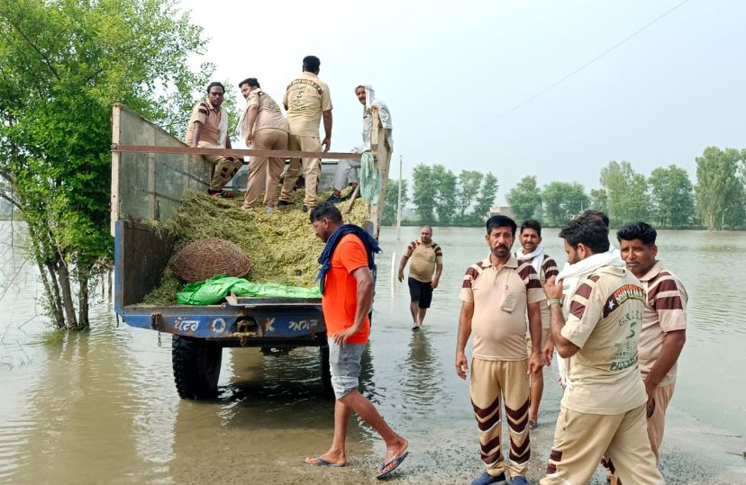 Flood Rescue Operation