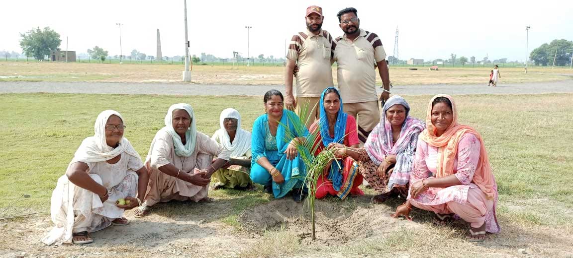 Tree Planting