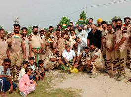 Tree Planting