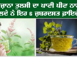 Tulsi Water