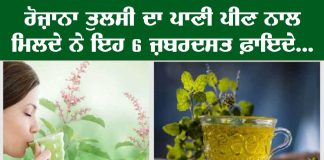 Tulsi Water