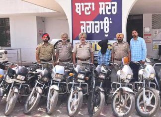 Vehicle Thieves