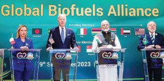 Global Biofuel