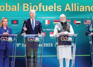 Global Biofuel