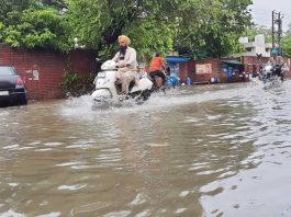Rain in Sangrur