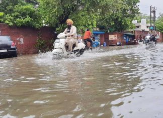 Rain in Sangrur