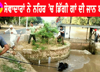 Bathinda Canal