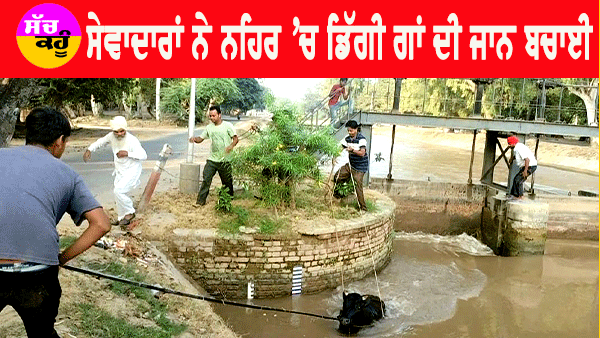 Bathinda Canal