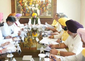 Punjab Cabinet