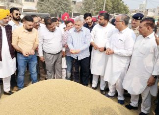 Farmers of Punjab