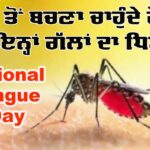 National Dengue Day