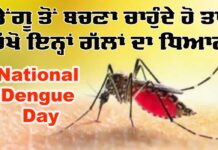 National Dengue Day