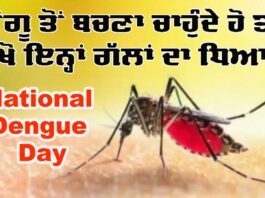 National Dengue Day
