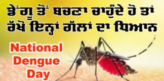 National Dengue Day