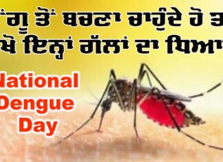 National Dengue Day