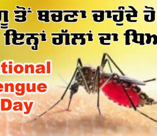 National Dengue Day