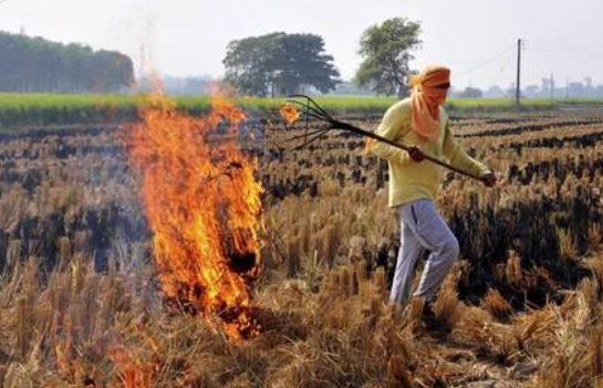 Stubble Burning