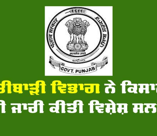 Department of Agriculture