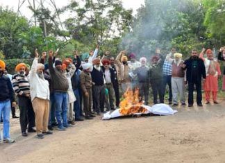 Electricity Workers Protest