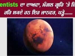 Rats Survive On Mars