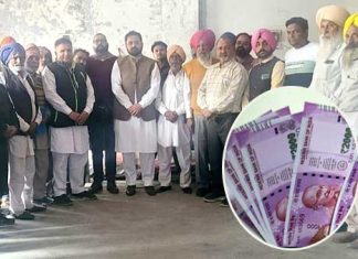 Amloh News ​
