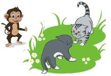 Cats and Monkey
