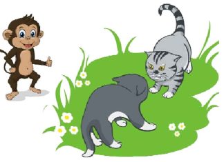 Cats and Monkey