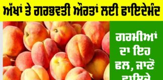 Aadu fruit Benefits