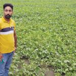Agriculture in Punjab