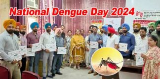 National Dengue Day