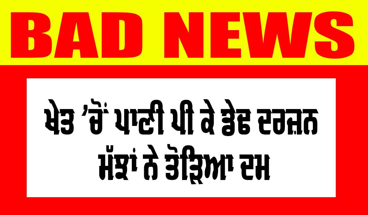 Sangrur News