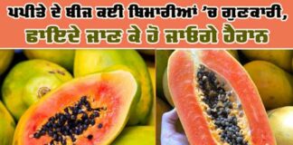 Benefits of Papaya Seeds