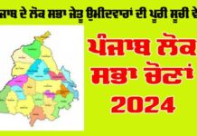 Lok Sabha Elections 2024 : ਪੰਜਾਬ ’ਚੋਂ ਕਿਹੜੀ ਸੀਟ ’ਤੇ ਕਿਹੜਾ ਉਮੀਦਵਾਰ ਜਿੱਤਿਆ, ਜਾਣੋ 
