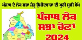 Lok Sabha Elections 2024 : ਪੰਜਾਬ ’ਚੋਂ ਕਿਹੜੀ ਸੀਟ ’ਤੇ ਕਿਹੜਾ ਉਮੀਦਵਾਰ ਜਿੱਤਿਆ, ਜਾਣੋ 