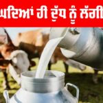 Amul Milk Raises Prices