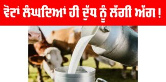 Amul Milk Raises Prices