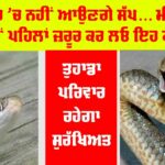 Snake News