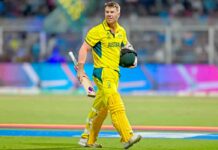 David Warner