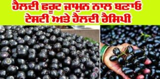 Jamun Recipes