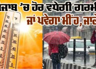 Punjab In Rain