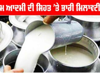 Adulterated Milk